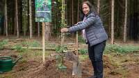 Eine Frau hält frisch eingepflanzten Jungbaum am Stamm fest, im Hintergrund Waldrand
