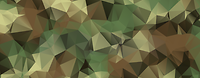 Polygon_Vector_RGB Polygon_Vector_RGB