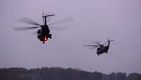 Zwei Hubschrauber CH-53 im Flug.