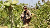 Ein Soldat bei EUTM Mali durchschreitet suchend blühende Büsche