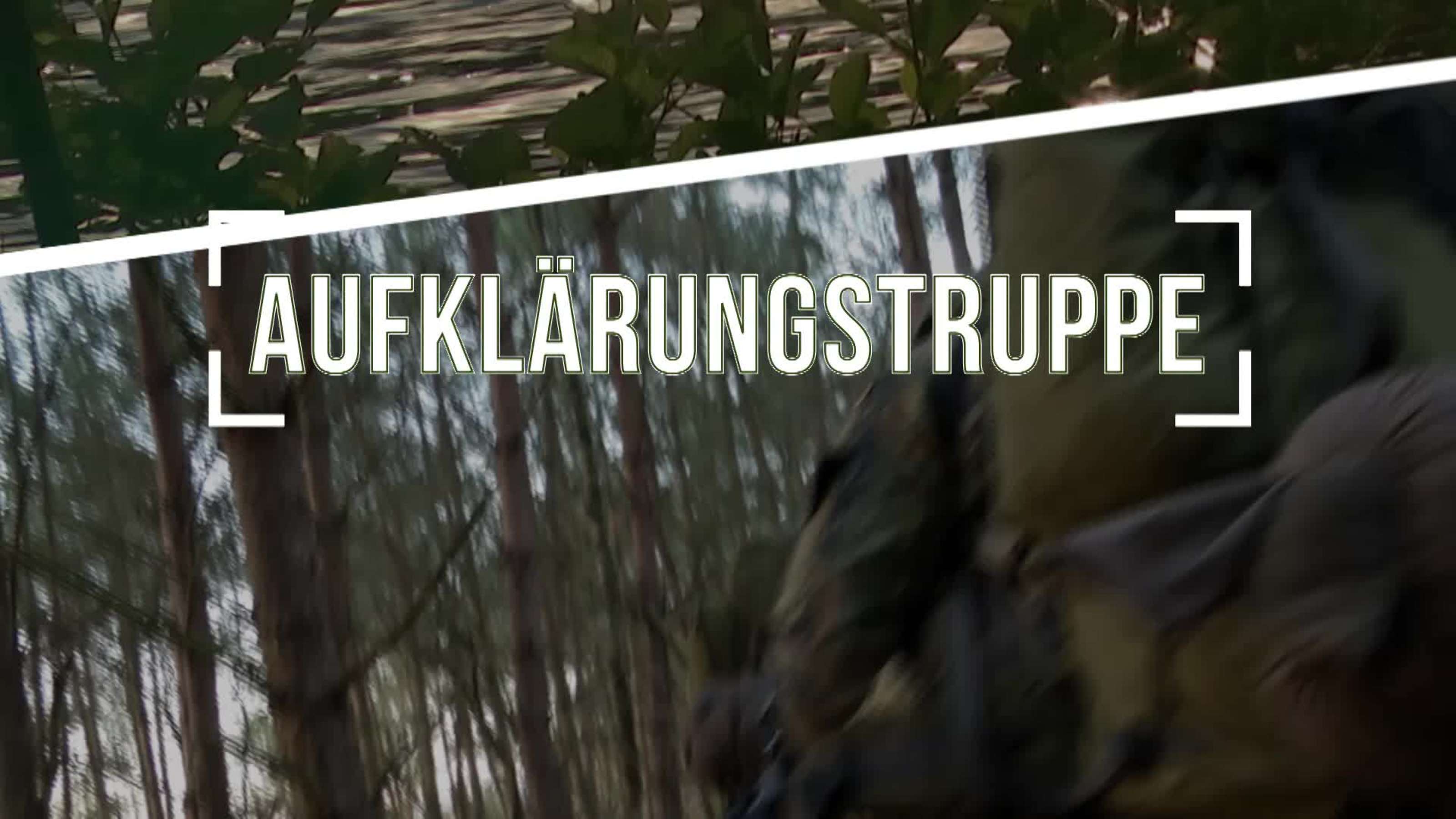 Die Heeresaufklärungstruppe eine Truppengattung des Heeres