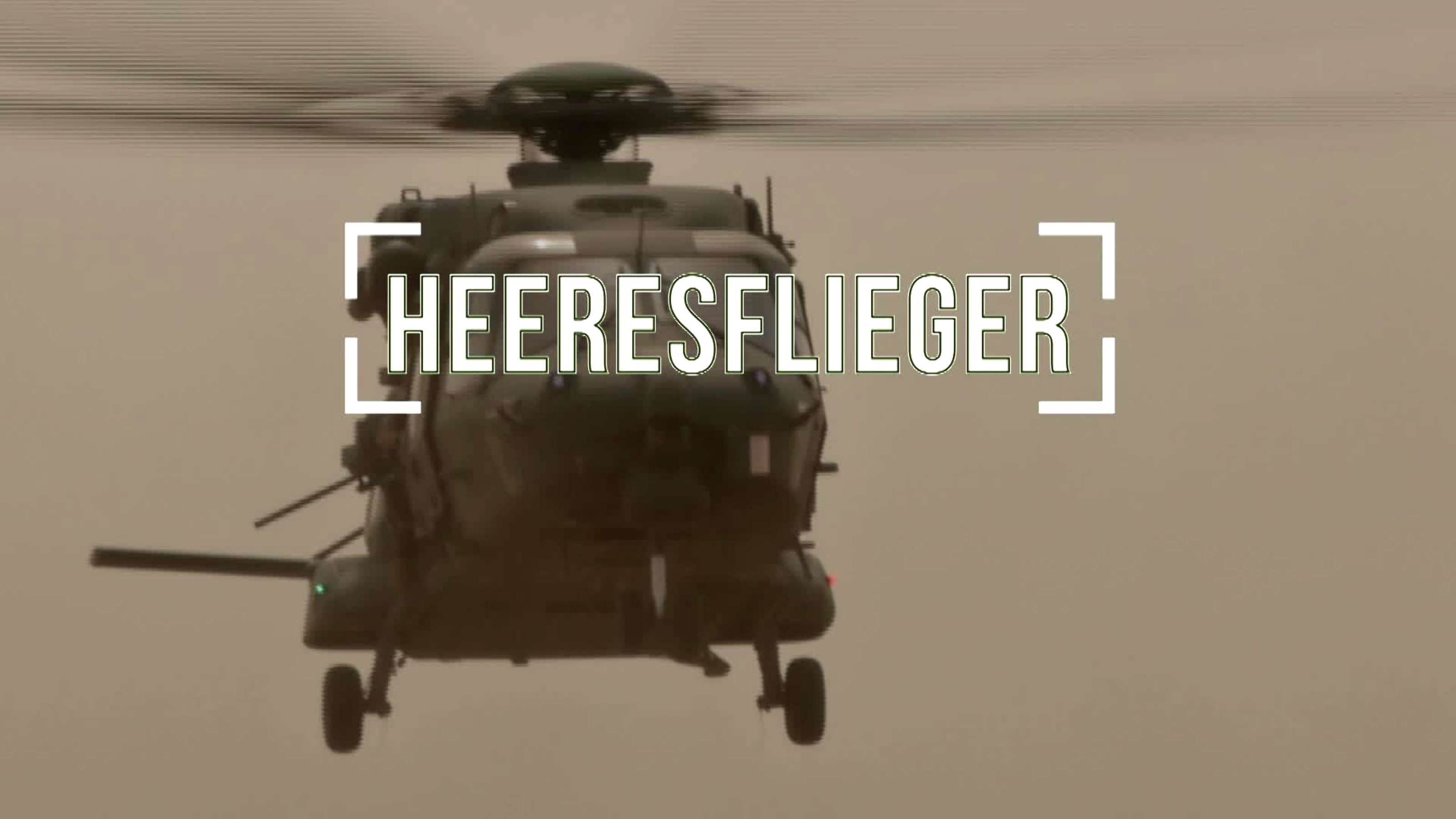 Die Heeresfliegertruppe des Heeres