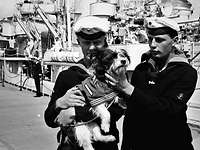 Marine historisch Bordhund Zwei Marinesoldaten in Matrosenanzug, einer trägt einen kleinen Hund auf dem Arm