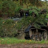 Ein mit Tannenzweigen bedecktes kleines Kettenfahrzeug steht an einem Waldrand.