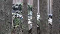 Ein Schützenpanzer in der Deckung Soldat mit Fernglas auf einem Panzer