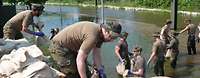 Hochwasserhilfe am Standort Magdeburg Einsatz der Bundeswehr beim Hochwasser in Sachsen-Anhalt