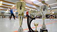 Drei glänzende Pokale im Vordergrund, im Hintergrund machen sich Volleyballspieler warm.