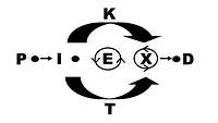 Graphical Representation of a Process Flow