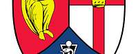 Wappen des SanRgt 2