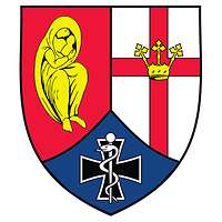 Wappen des SanRgt 2