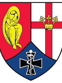 Wappen des SanRgt 2