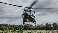 Ein Mehrzweckhubschrauber NH-90 landet auf einer Wiese.