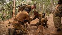 Soldaten bauen in einem Wald eine Behelfstrage aus Lianen.