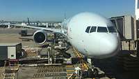 Ein Flugzeug der American Airlines steht am Gate und wird abgefertigt.