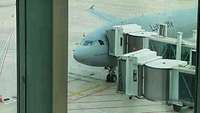 A310 am Gate in Wuhan