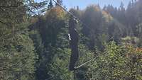 Waldkulisse: In der Mitte sind zwei Drahtseile gespannt. Ein Soldat balanciert über das Seil.
