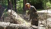 Ein Soldat mit Helm und Gehörschutz zerteilt mit einer Kettensäge einen dicken Holzstamm.