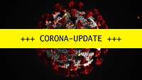 Der Schriftzug "Corona-Update" auf gelbem and. Im Hintergrund das Bild eines Virus