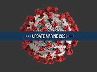 Marine und Coronavirus 2021 Computer-Illustration eines Coronavirus: ein grauer Ball mit rauher Oberfläche und roten Zapfen, die daraus hervorragen.