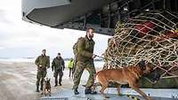 Norwegische Hundeführer steigen mit ihren Vierbeinern in das Transportflugzeug A400M