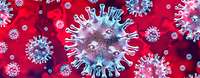 Coronavirus Eine Ansicht des Virus