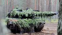 Ein mit Tannenzweigen getarnter Panzer steht auf einer Sandfläche in einem Wald.