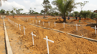 Anti-Ebola-Einsatz in Liberia Viele Kreuze, viele Tote: Die Ebola-Pandemie hat viele Opfer gefordert
