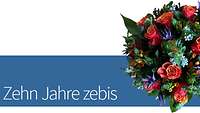 Zehn Jahre zebis - Jubiläumsseite