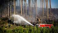 Ein Feuerwehrauto mit einem Wasserstrahl an einem brenndenden Waldstück