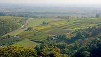 Landschaftsaufnahme Bad Bergzabern Landschaftsaufnahme in Bad Bergzabern