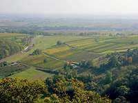 Landschaftsaufnahme Bad Bergzabern Landschaftsaufnahme in Bad Bergzabern