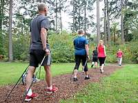 Betreuungsmaterial Nordic-Walking Gruppe im Wald