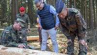Soldaten betrachten Borkenkäfer Befall eines Baumes