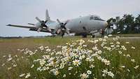 Ein Flugzeug steht auf der Landebahn. Im Vordergrund ist eine grüne Blumenwiese zuerkennen