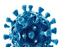 Zu sehen ist ein silisiertes blaues Virus