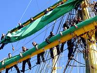 Interview Offizieranwärter Alexander von Humboldt II Rahsegel Soldaten in blauer Arbeitsuniform stehen an einer Rah eines Segelschiffs und greifen ein zusammengerolltes grünes Segel.