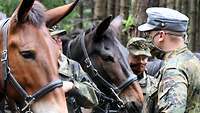 Militärpfarrer Jörg Plümper begleitet Soldaten im Einsatz- und Ausbildungszentrum für Tragtierwesen in Bad Reichenhall