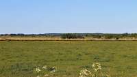 Landschaft Viereck Landschaft Viereck