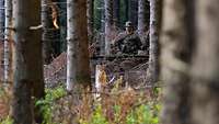 Ein Soldat läuft durch braunes Unterholz im Tannenwald.