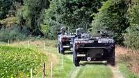 Zwei grün getarnte Radpanzer fahren auf einem Feldweg.