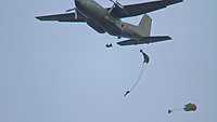 Unter blauem Himmel springen mehrere Soldaten nacheinander mit Fallschirmen aus einem Flugzeug.