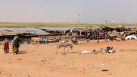 Ein Esel steht vor einfachen Behausungen an einem Fluss in Afrika. 