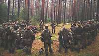 Soldaten stehen im Wald um eine Fläche, auf der das Gelände mit Zweigen und Blättern nachgebildet ist.