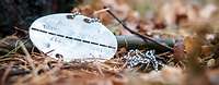 Erkennungsmarke eines Bundeswehrsoldaten auf dem Waldboden