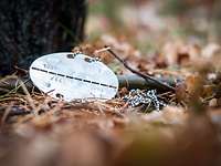 Erkennungsmarke eines Bundeswehrsoldaten auf dem Waldboden