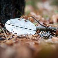 Erkennungsmarke eines Bundeswehrsoldaten auf dem Waldboden