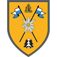 Auf goldgelbem Grund zwei gekreuzte Lanzen, mittig das Edelweiß, oben ein Monogramm, unten 3 Tannen.