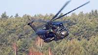Transporthubschrauber CH53 im Tiefstflug über ein Waldstück.