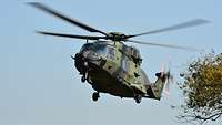 Mehrzweckhubschrauber NH-90 bei der Landung im Gelände
