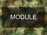 Module Grafic for the Modules